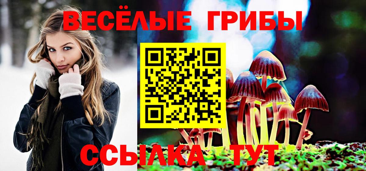 Псилоцибиновые грибы Magic Shrooms Ногинск